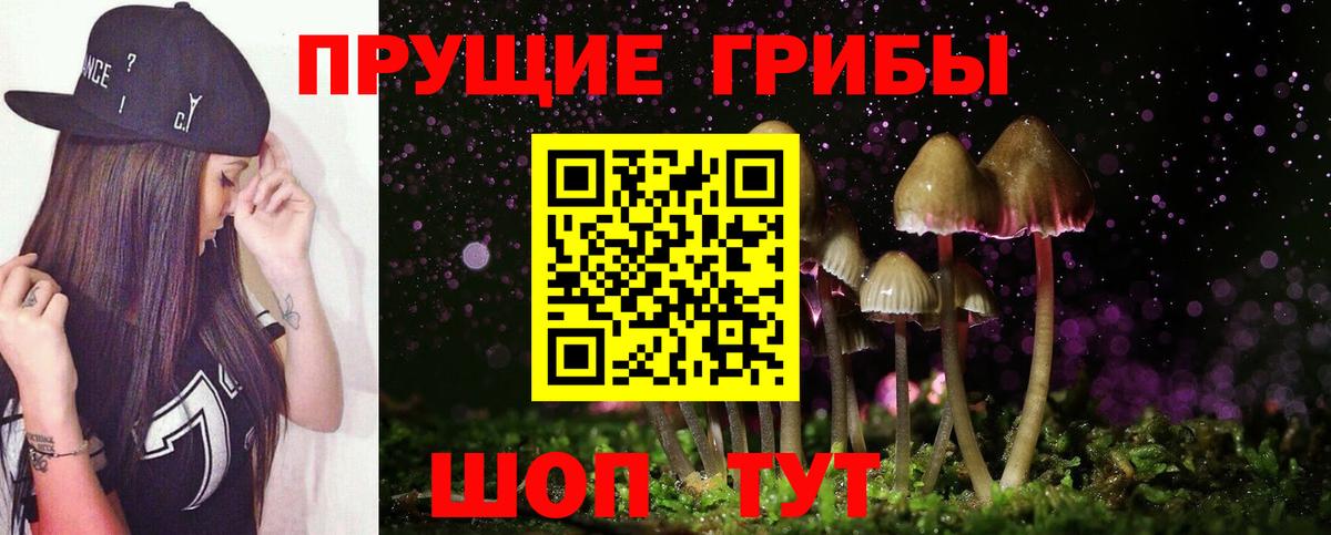 Галлюциногенные грибы Psilocybe  Вход с VPN  Алапаевск 